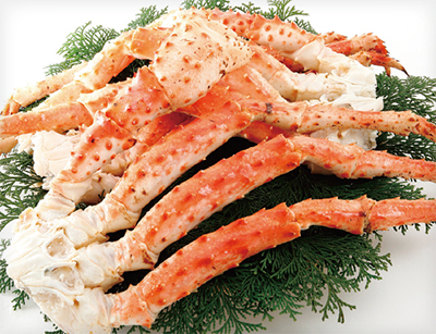 SOUTHERN RED KING CRAB (LITHODES SANTOLLA)