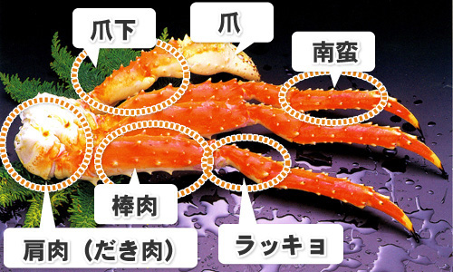 かに 部位解説